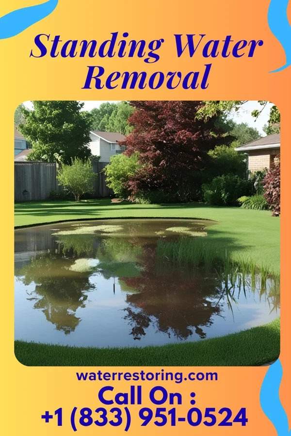 Standing Water Removal in Batesburg-Leesville, SC